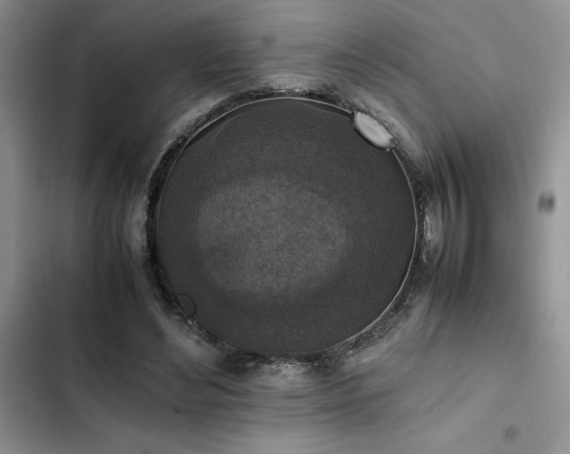 X0000102860492200808181445