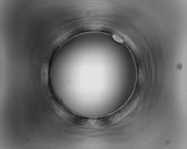 X0000102860493200808181445