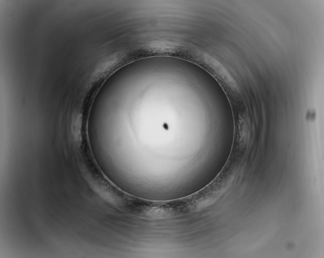 X0000102860494200808181445