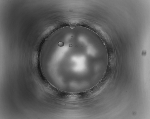 X0000102860495200808181445