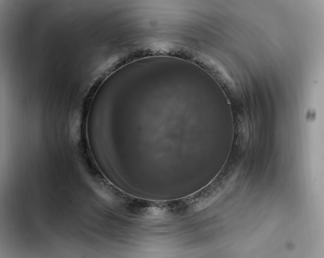 X0000102860496200808181445