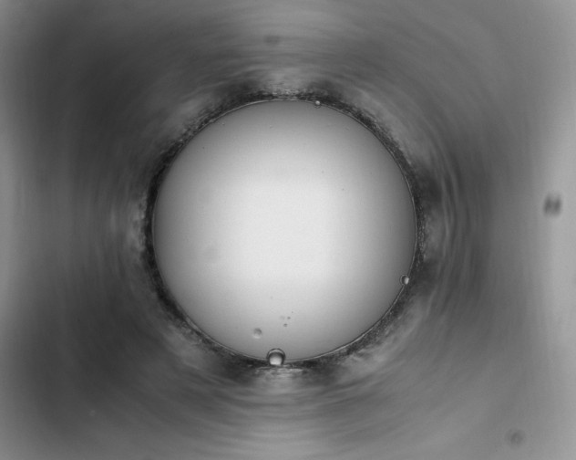 X0000102860497200808181445