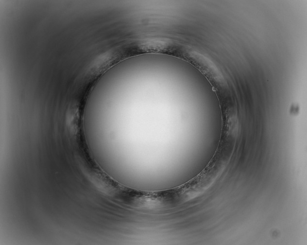 X0000102860498200808181445