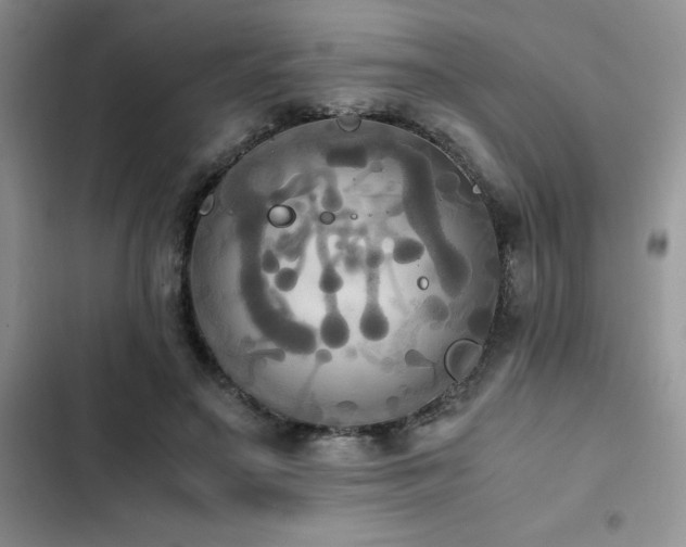 X0000102860499200808181445