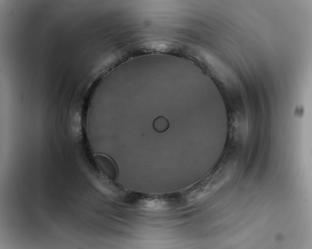 X0000102860500200808181445