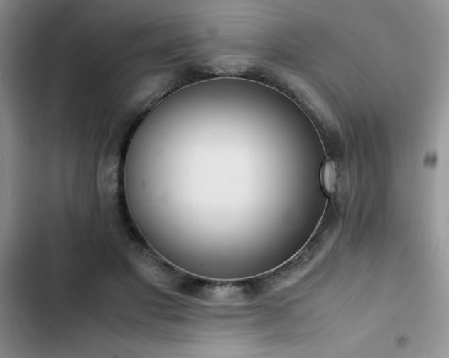 X0000102860501200808181445