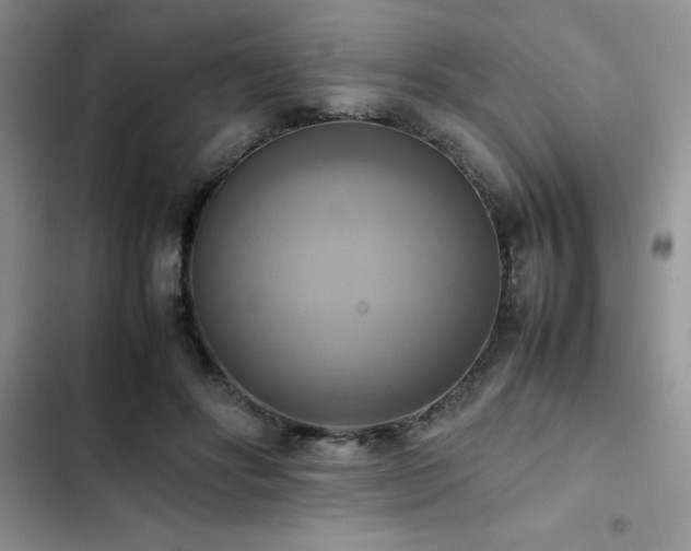 X0000102860502200808181445