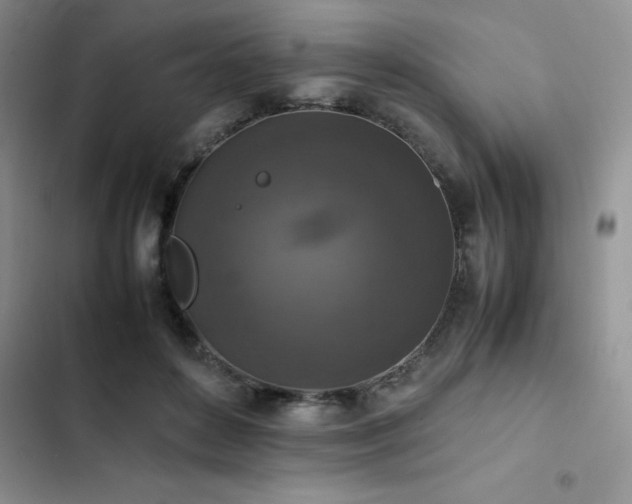 X0000102860504200808181445