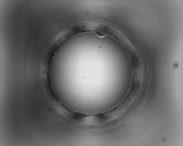 X0000102860505200808181445