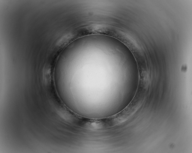 X0000102860506200808181445