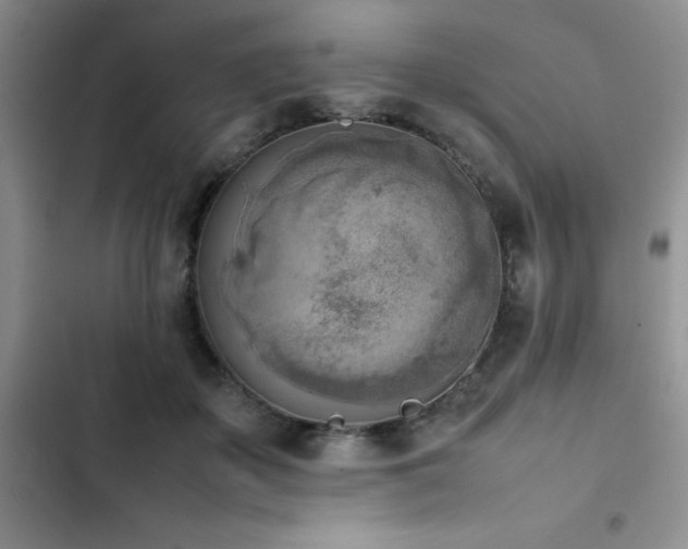 X0000102860507200808181445