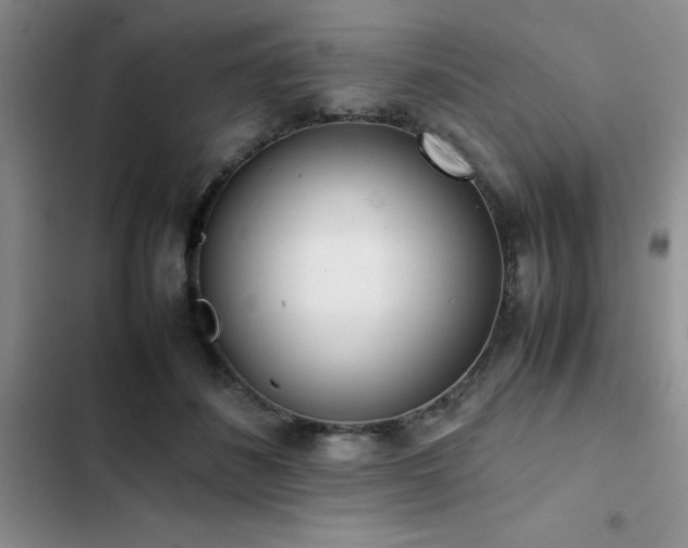 X0000102860508200808181445