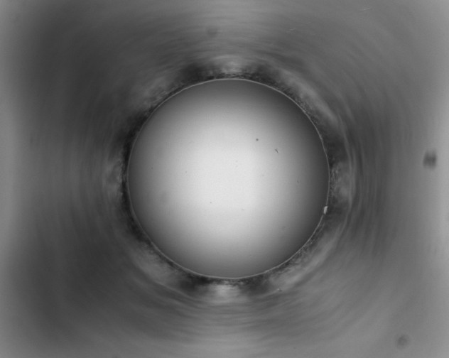 X0000102860509200808181445