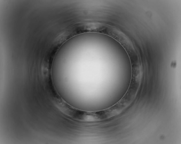 X0000102860510200808181445