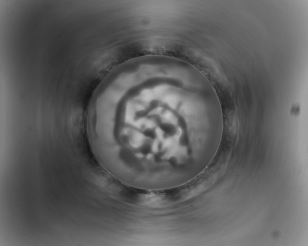 X0000102860511200808181445