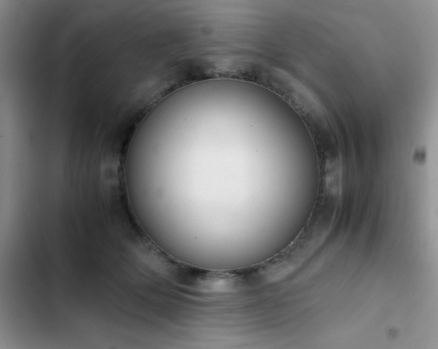 X0000102860514200808181445