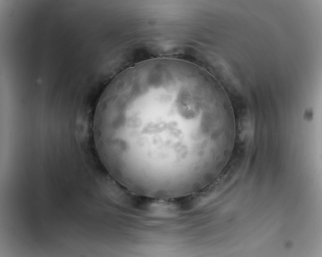 X0000102860515200808181445