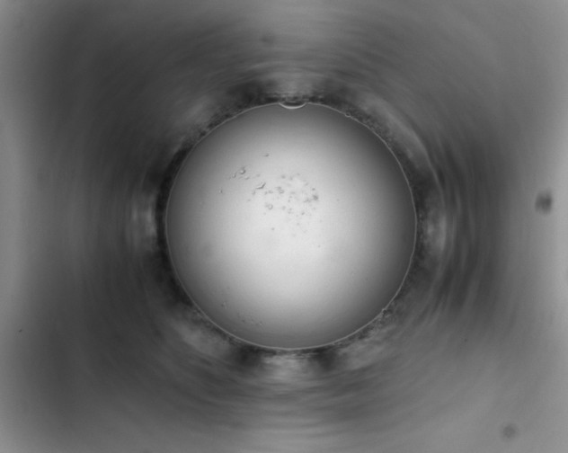 X0000102860516200808181445