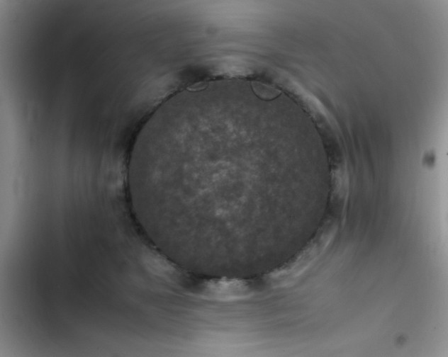 X0000102860517200808181445