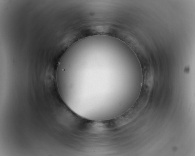 X0000102860518200808181445