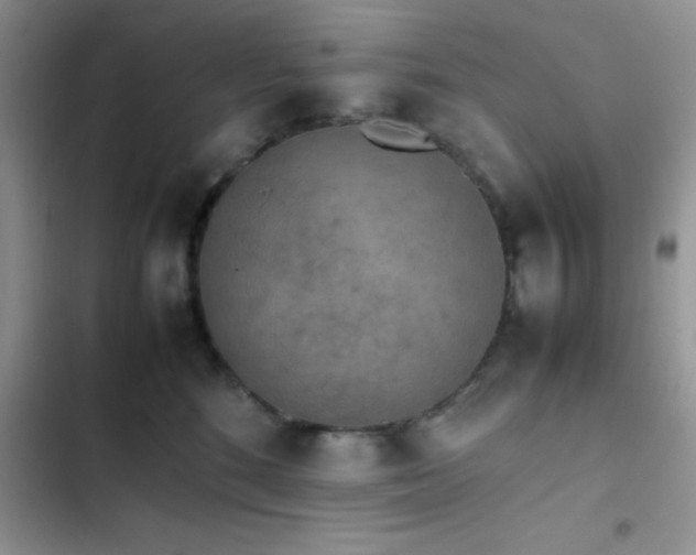 X0000102860520200808181444