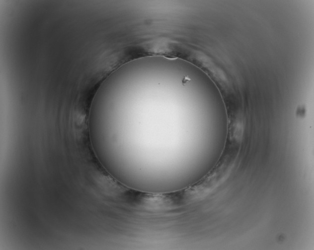 X0000102860521200808181444