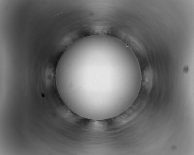 X0000102860522200808181444