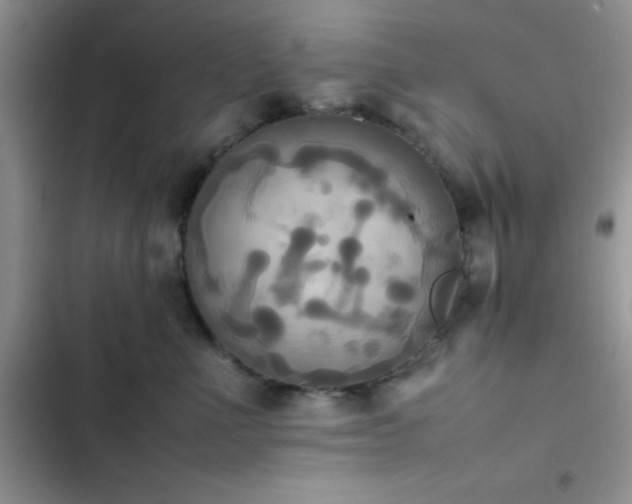 X0000102860523200808181444