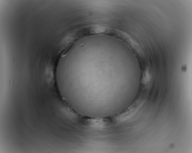 X0000102860524200808181444