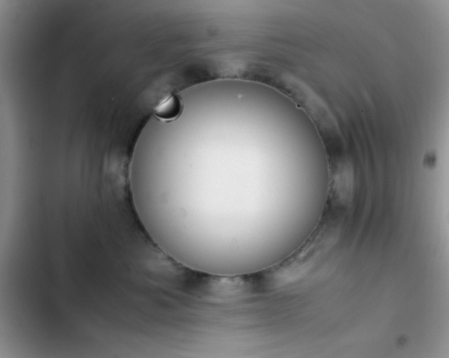 X0000102860525200808181444