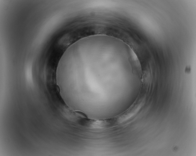 X0000102860527200808181444