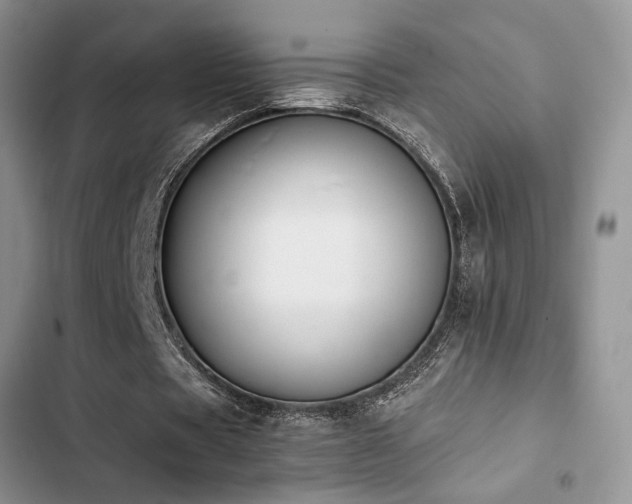 X0000102860529200808181443