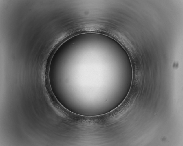 X0000102860530200808181443