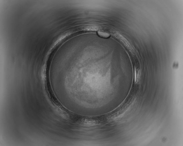 X0000102860531200808181443