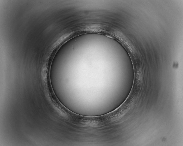 X0000102860533200808181443