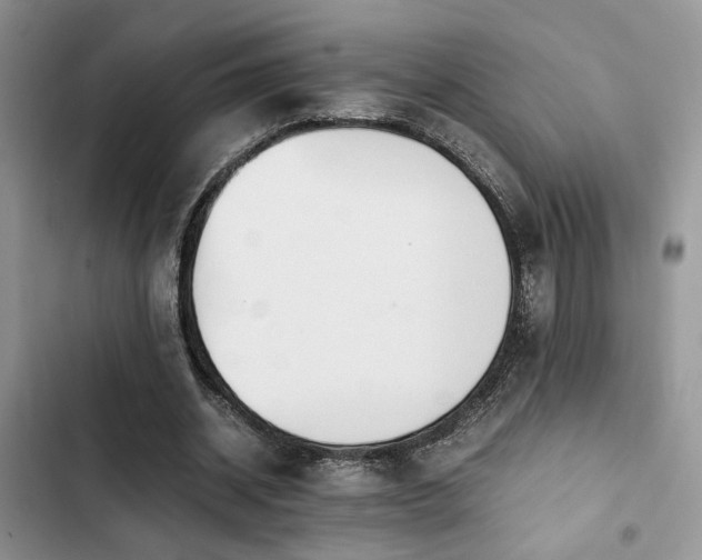 X0000102860534200808181443