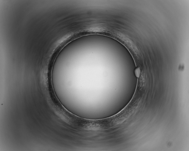 X0000102860535200808181444