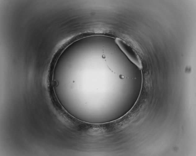 X0000102860536200808181444