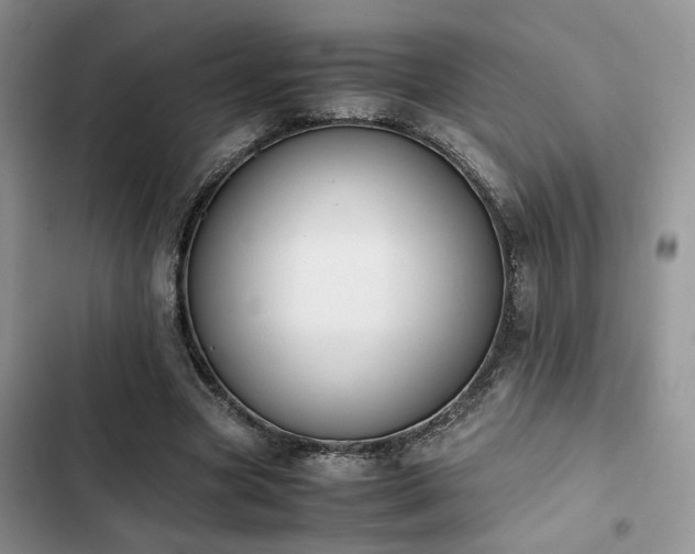 X0000102860537200808181444