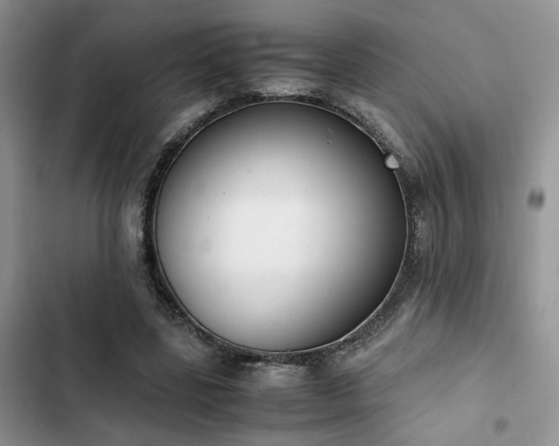 X0000102860539200808181444