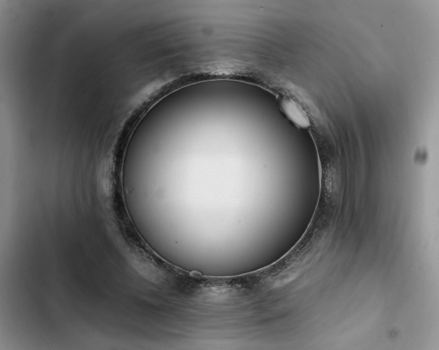 X0000102860540200808181444