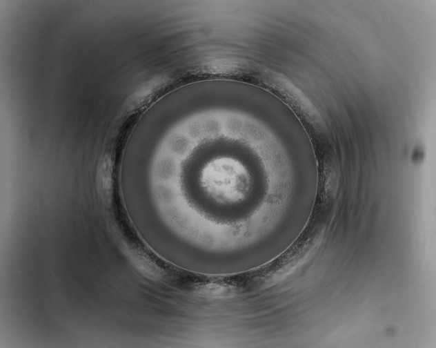 X0000102860542200808181444