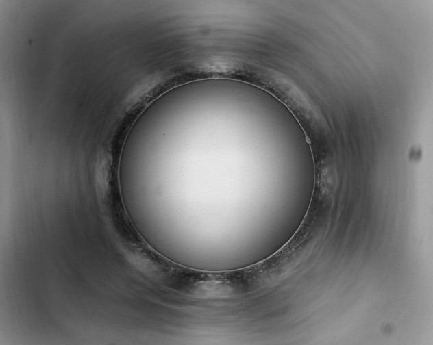 X0000102860544200808181444