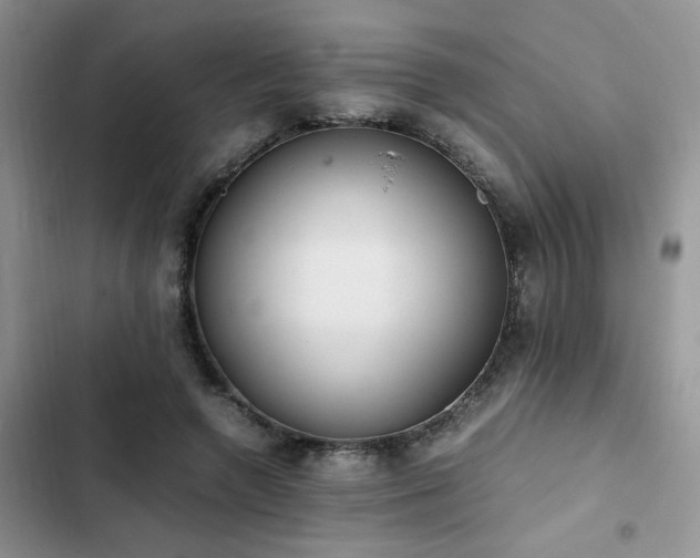 X0000102860546200808181444