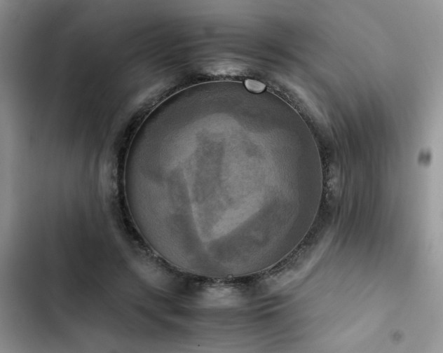 X0000102860547200808181444