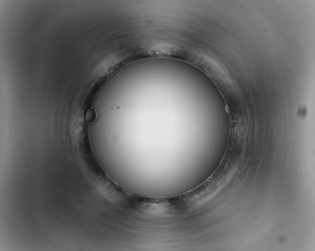 X0000102860548200808181444