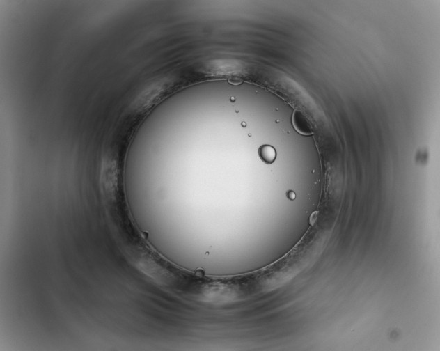 X0000102860549200808181444