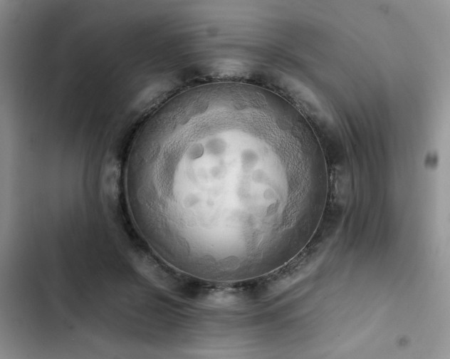 X0000102860550200808181444