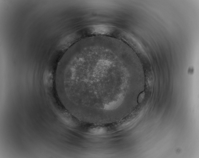 X0000102860551200808181444