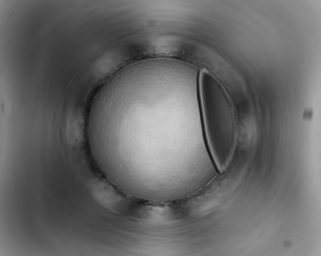 X0000102860552200808181444